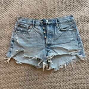 AGOLDE Parker Shorts in Swapmeet